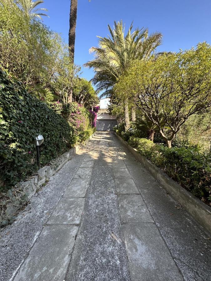 Villa Le Rose Di Emma Bordighera Exterior foto